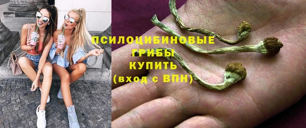 прущий лед Магас