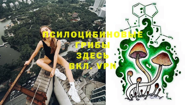 2c-b Белокуриха