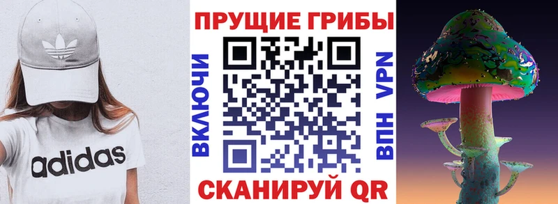 сколько стоит  Белокуриха  Псилоцибиновые грибы прущие грибы 